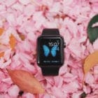 Apple Watch with butterfly face on pink blossom